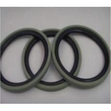 Piston seals (DSF)